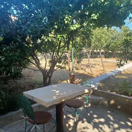 Buena Vida ザダル